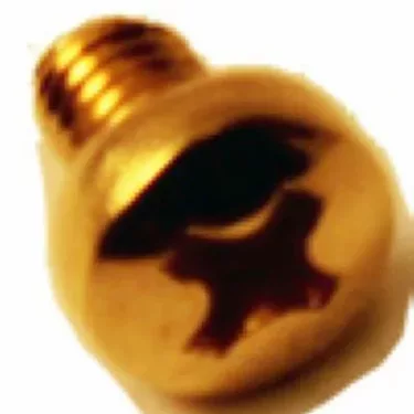 Elektra 00123026 Screw for Grouphead Delivery Unit - M 4x6 - brass - Elektra Commercial Models