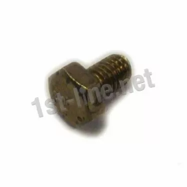 Elektra 00147035 Brass Screw M 6x10