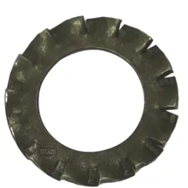 Elektra 01816035 Washer - Inox