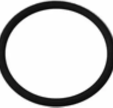 Elektra 01888035 Steam/Water Valve Gasket - body to wand