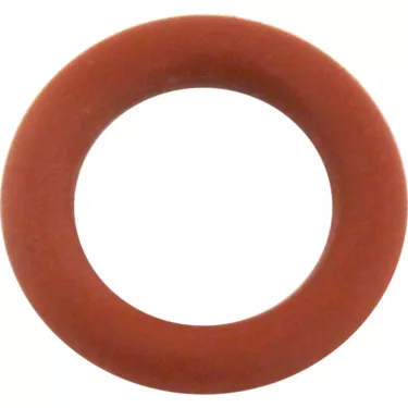 SPM O-Ring for Nina