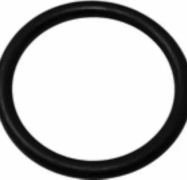 La Pavoni Rubber Gasket