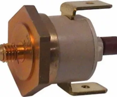 Rancilio 34200058 165° C Safety Thermostat