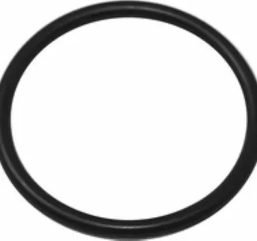 Rancilio 36404040 O-Ring for Rancilio Silvia (pod adapter)