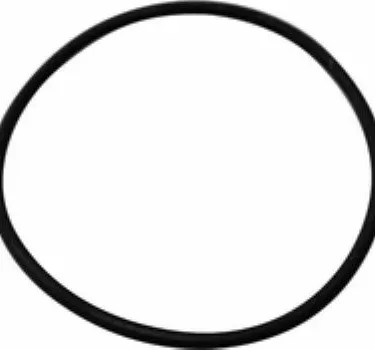 Rancilio 36404041 O-Ring for Rancilio Silvia (pod adapter)