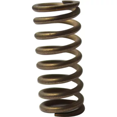 ECM C219900431 E61 Lower Valve Spring