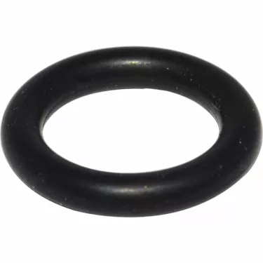 ECM P6003.6 Steam/Hot Water Valve O-ring 113