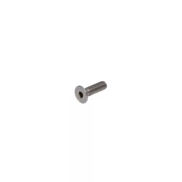 Caffemotive Screw m4x10 for Bacchi Espresso Machine