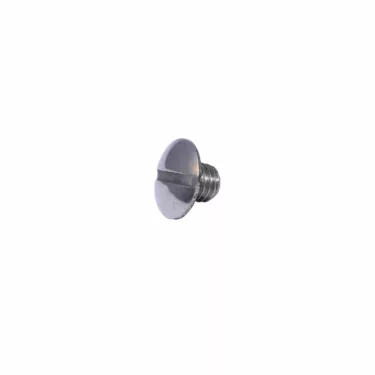 Elektra Screw M5X5 for T1 Deliziosa Body Panel - Inox