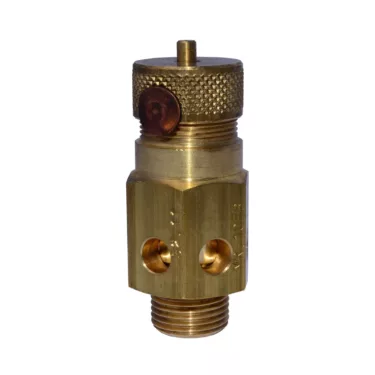 Elektra Safety Valve for Boiler - 2010 and up - Elektra Commercial models