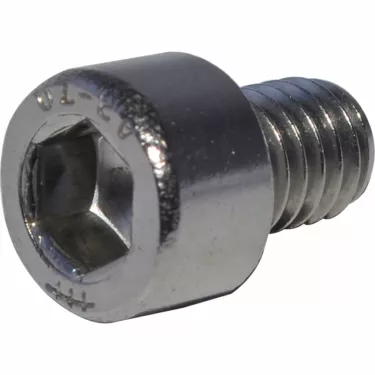 Bezzera Screw TCE M6x8 for Mitica