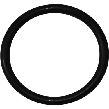 Bezzera O-ring Gasket for top of Grouphead Bell - BZ02