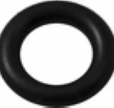 Pasquini Valve o-ring - for Livia 90