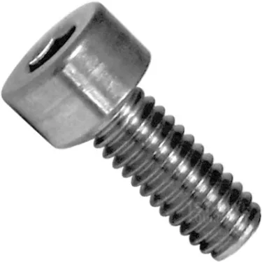ECM P2006 Screw M 4x10