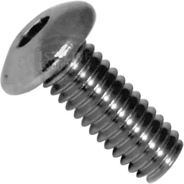 ECM P2022 Body Panel Screw