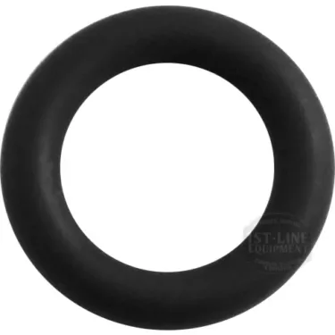 VBM GUARR5 Solenoid Valve O-ring - R5 EP851