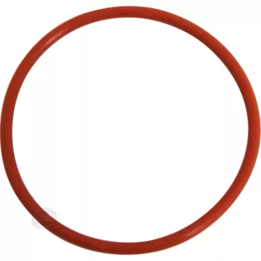 Ascaso Shower/Dispersion Screen Holder Exterior Gasket for Capsules