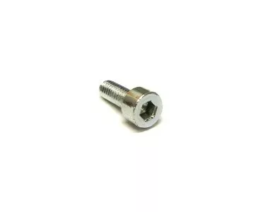 Ascaso Boiler Prof Screw :For Ascaso Home Machines