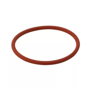 Saeco NM01.022 O-Ring - Boiler to Injector