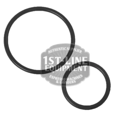 Picture of BWT Gasket Set of 2 for Filter Head