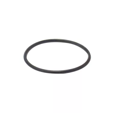 ECM G1017 Bean Hopper Neck O-Ring