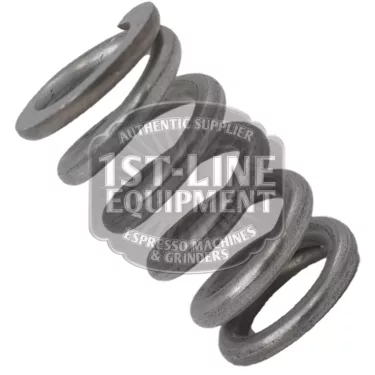 Picture of Water Inlet Spring