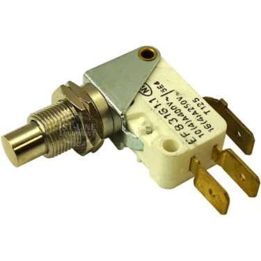 F..152 250V 10A BUTTON MICRO